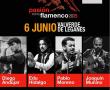 gala flamenco 6 junio 2025