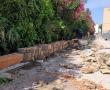 obra paseo ies avance