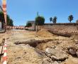 obra calle isidra avance